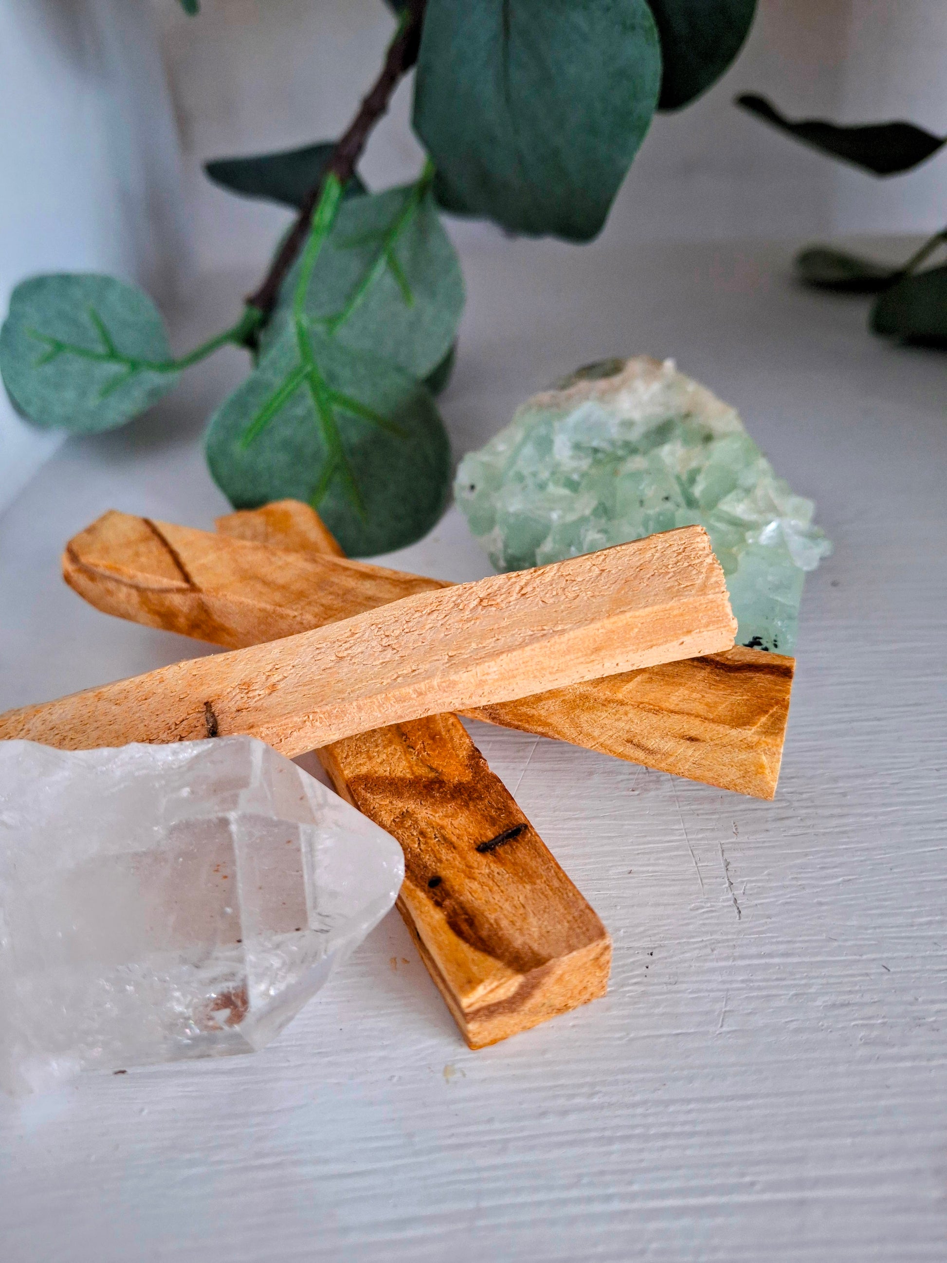 Palo Santo wood sticks