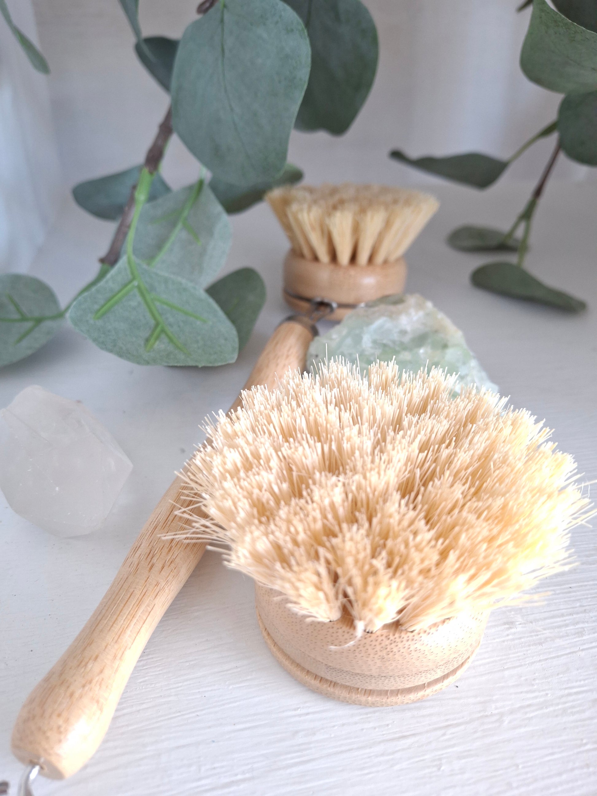 Scrubby Brush