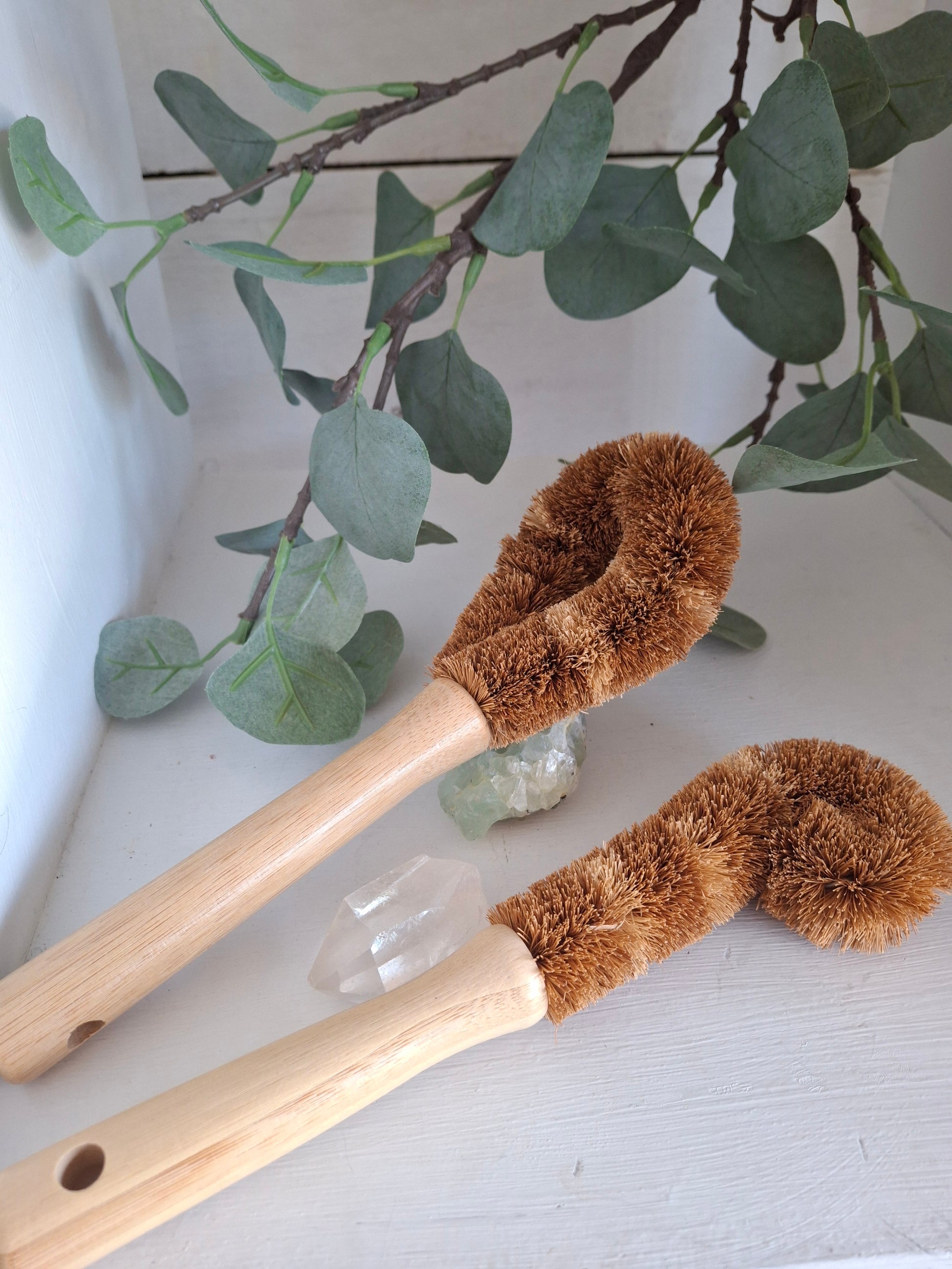 Scrubby Brush
