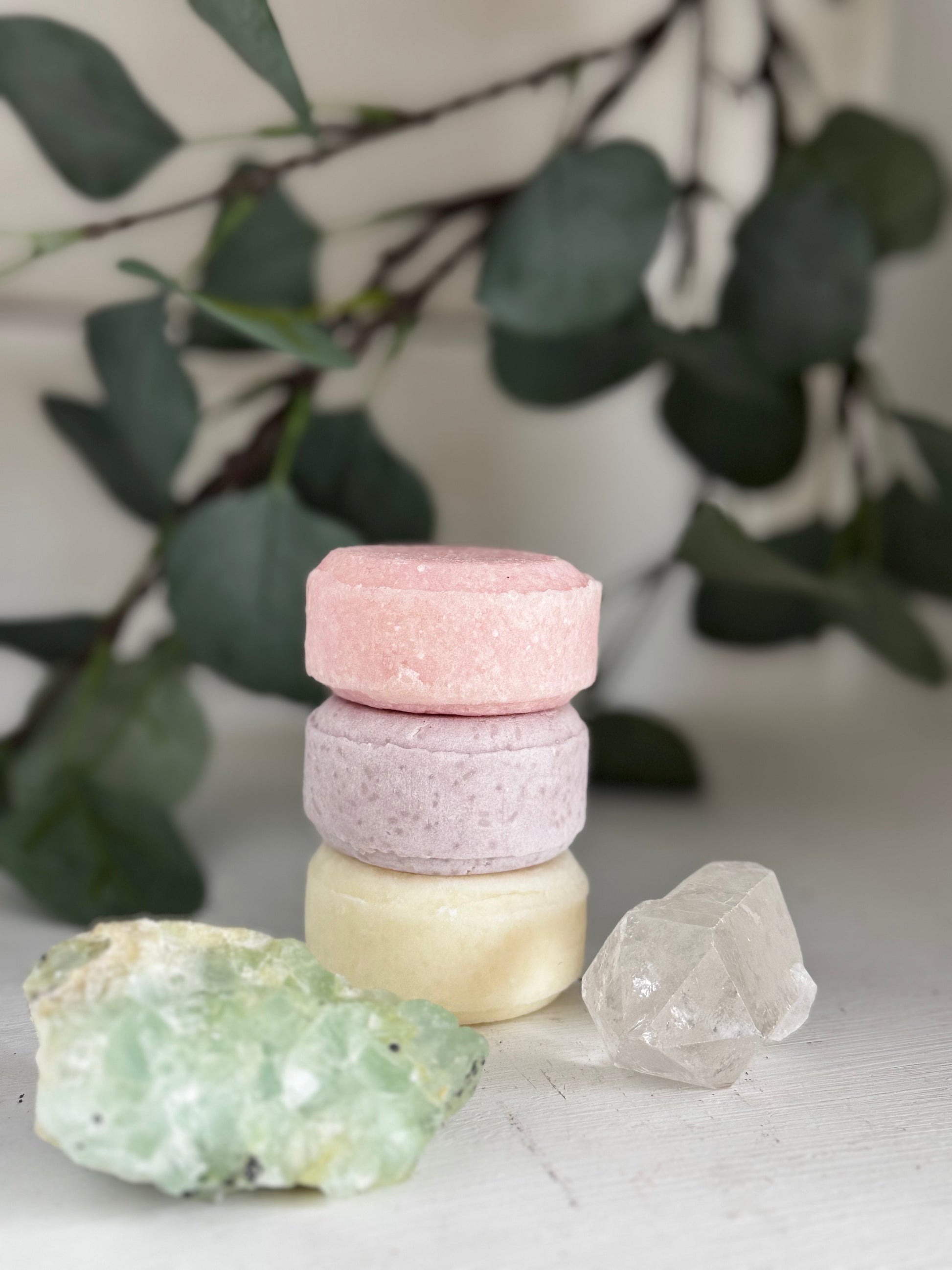 Shampoo Bar