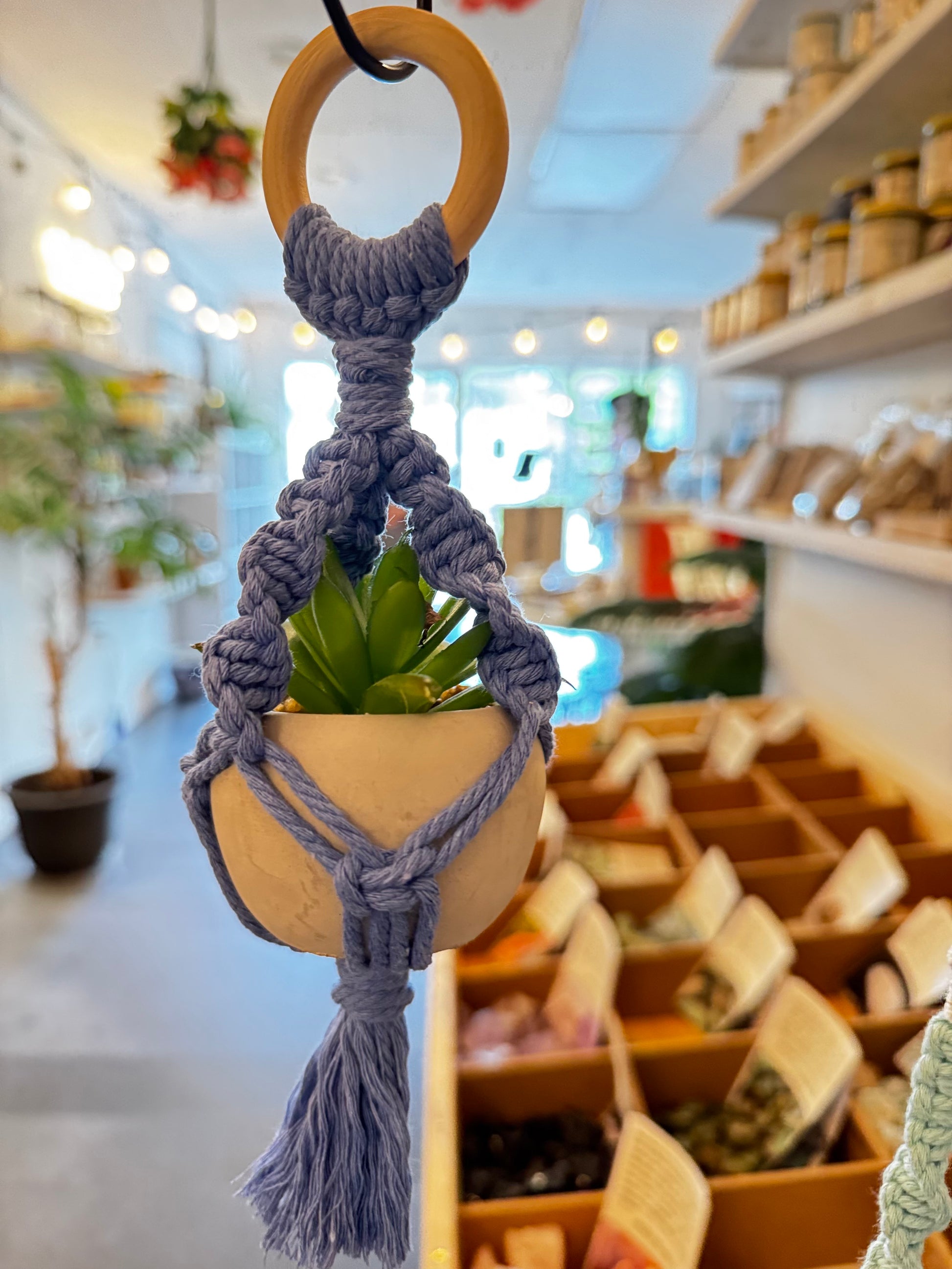 Macrame plant car hang