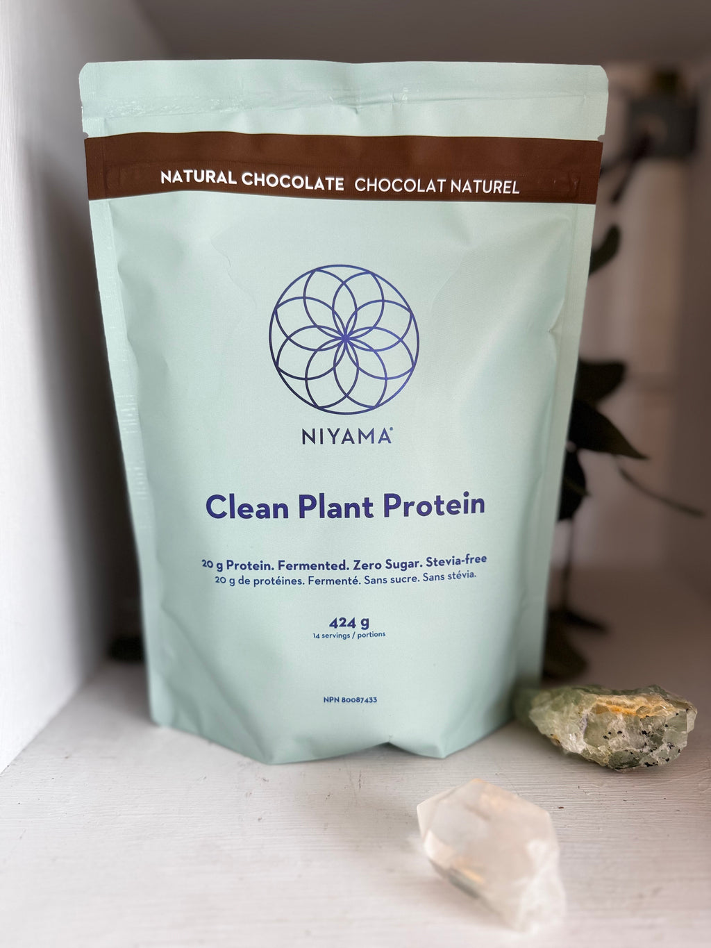 Clean Plant Protein Powder - Niyama Wellness