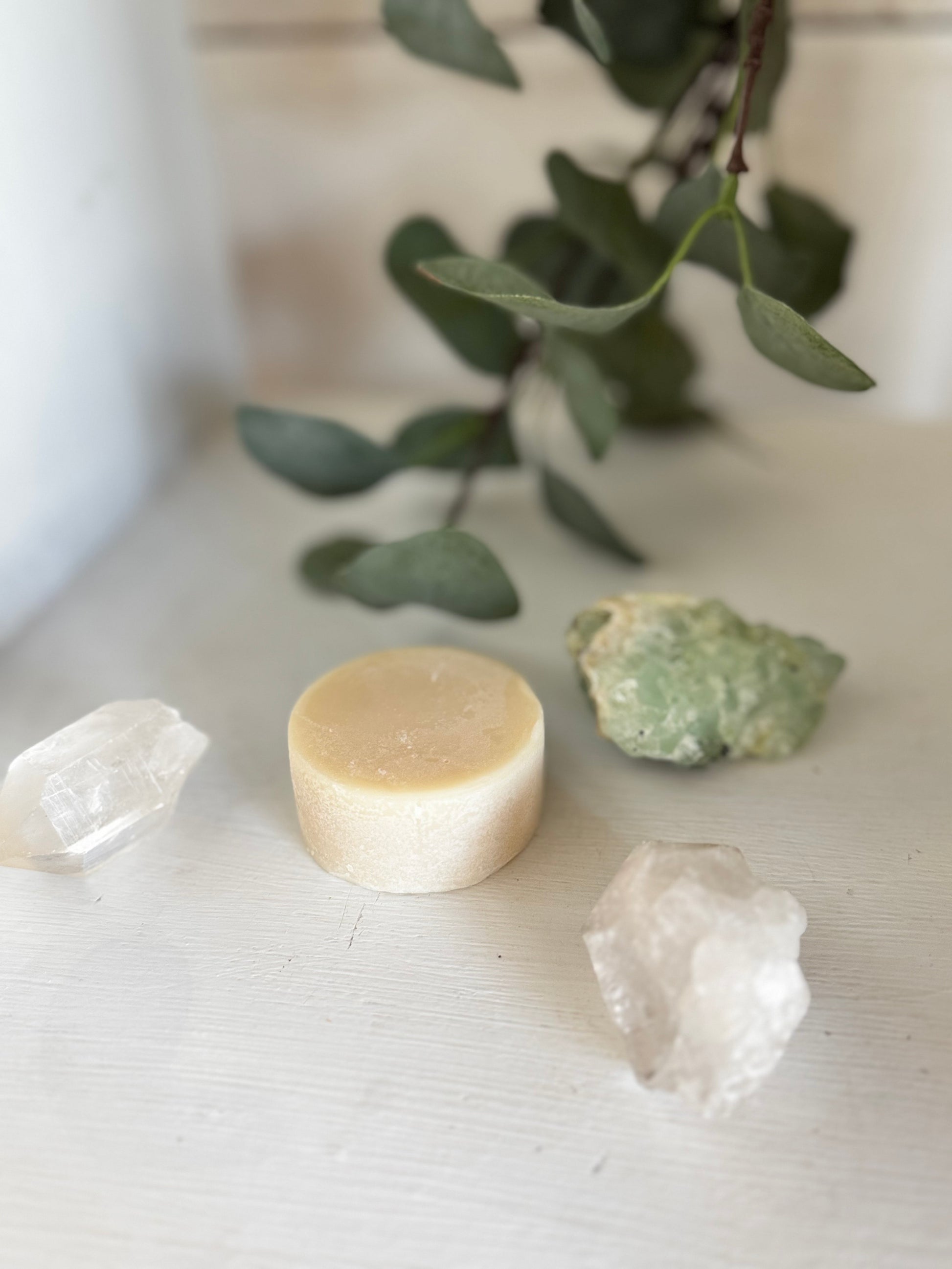 Shampoo Bar