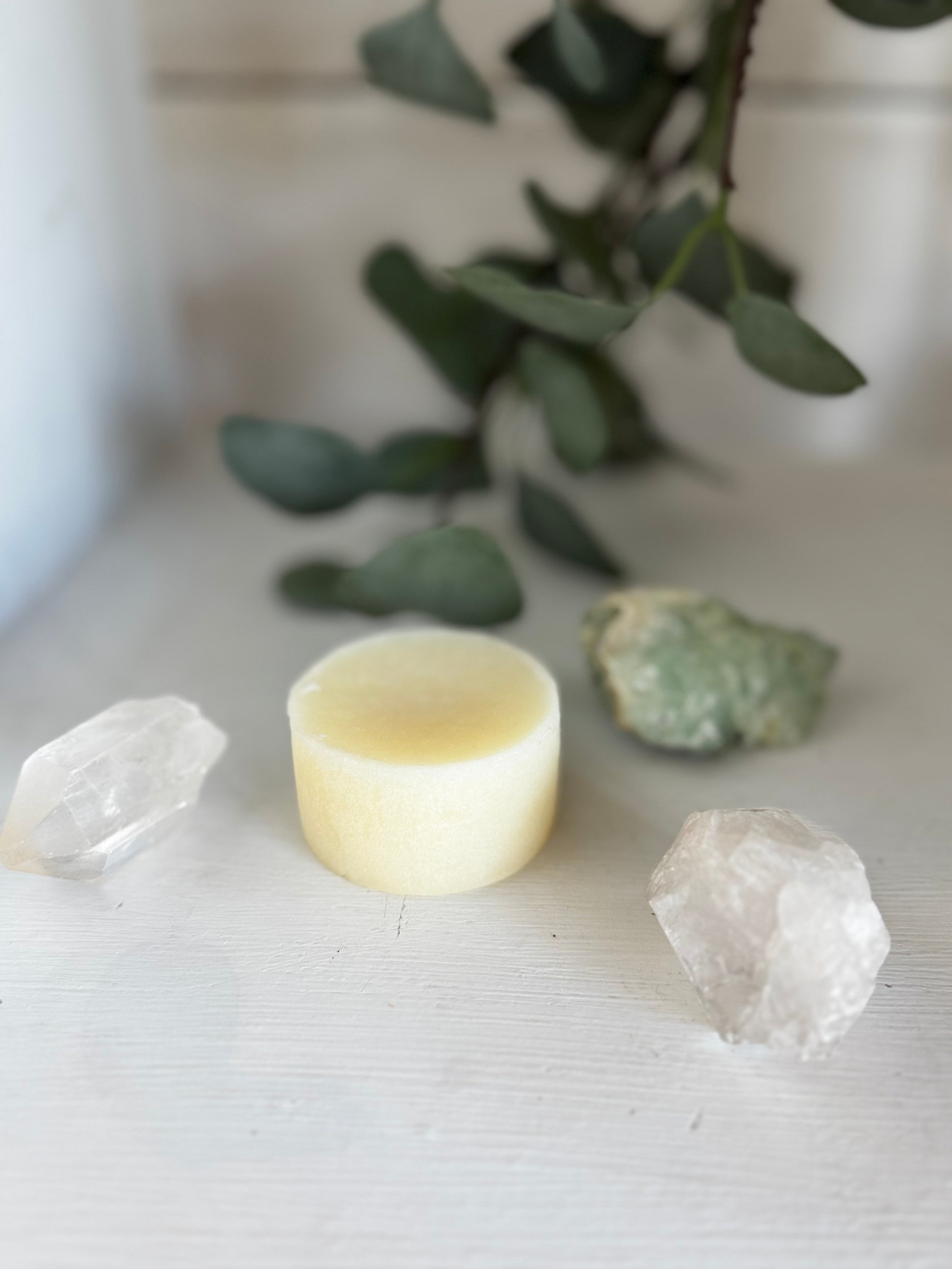 Shampoo Bar