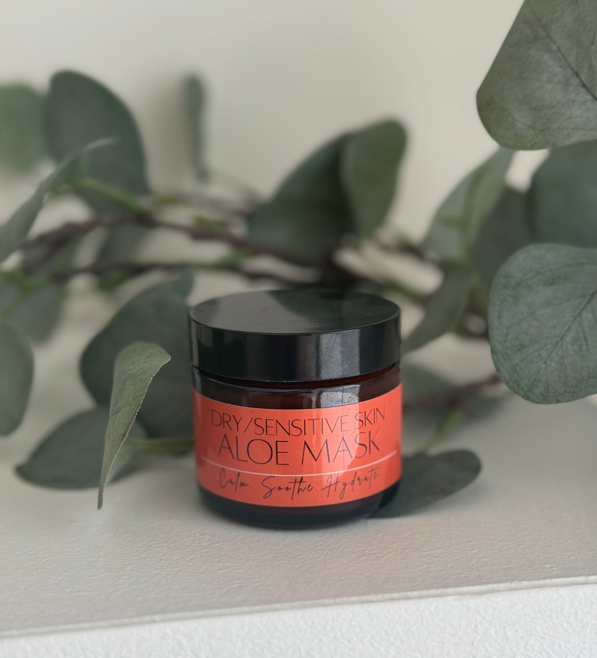 Jar of aloe mask with green leaves in the background