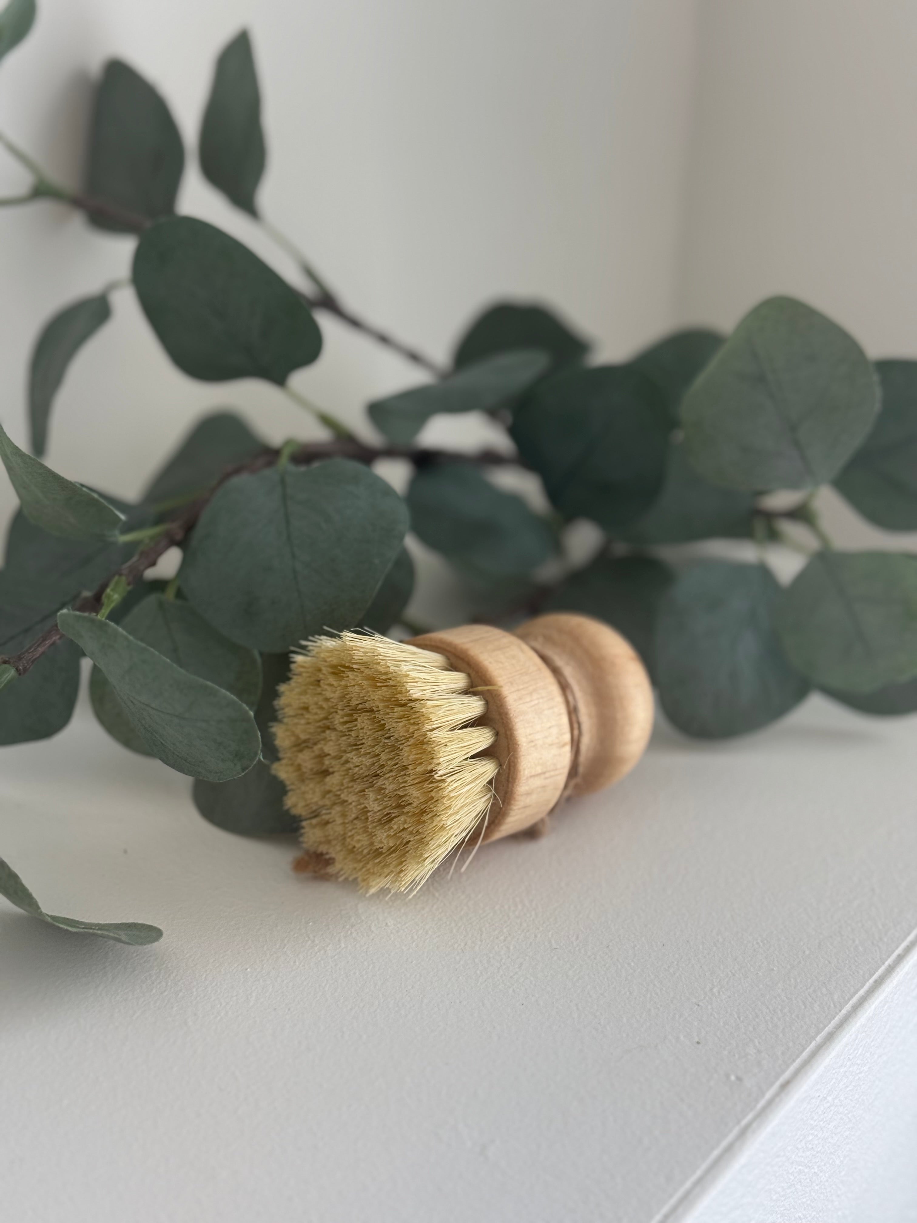 Scrubby Brush