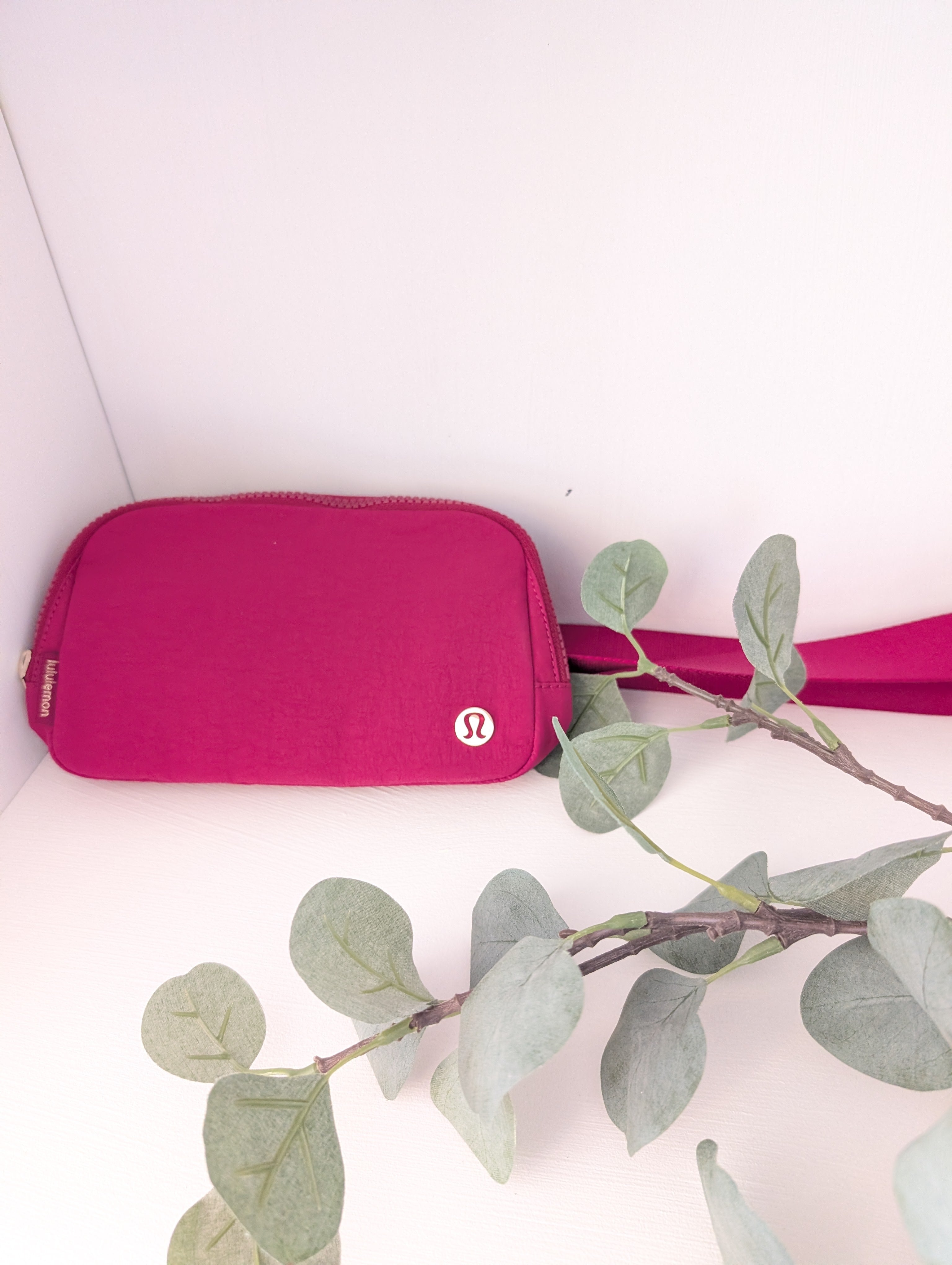 Everywhere Belt Bag