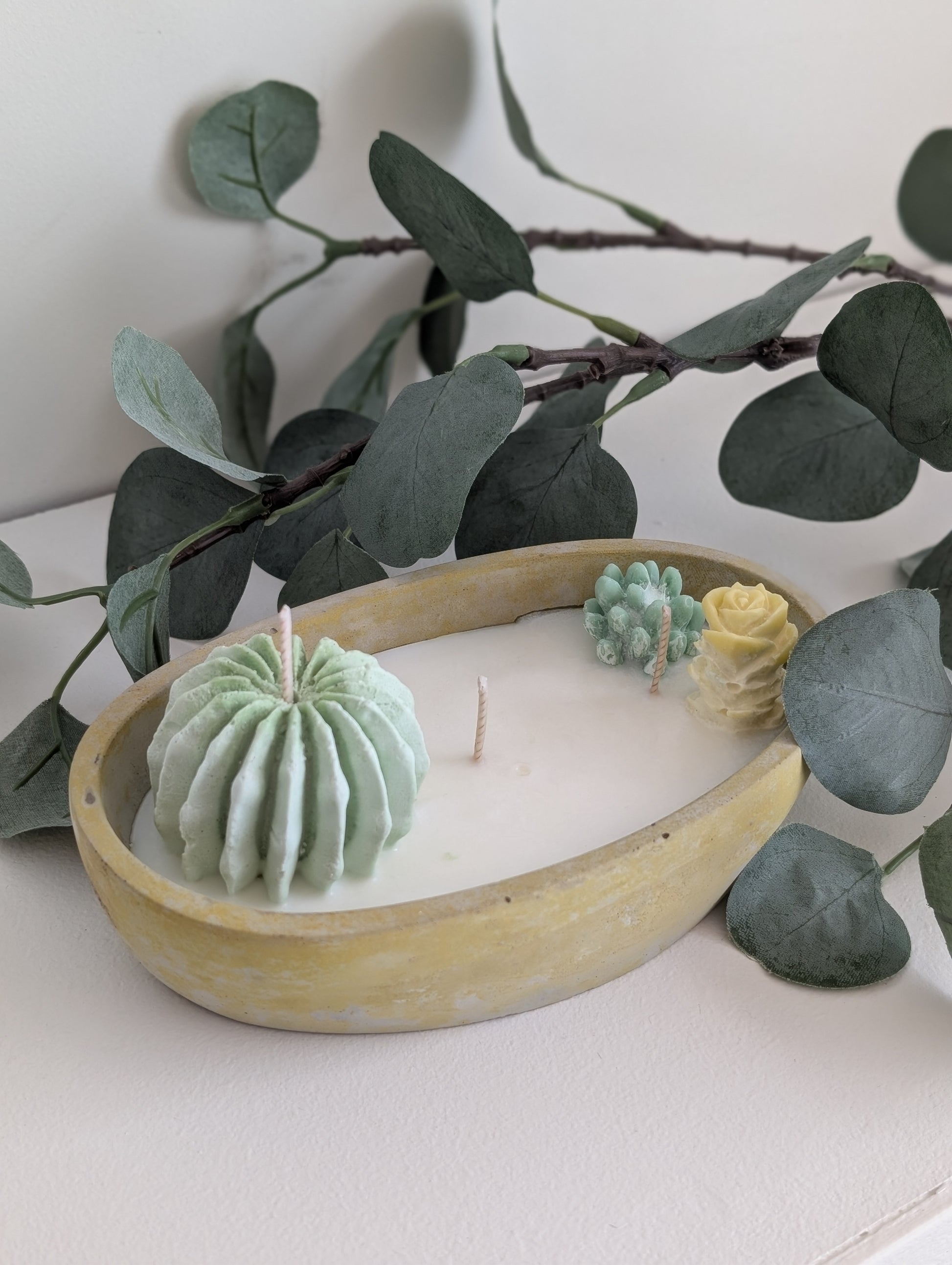 Succulent Farm Candle