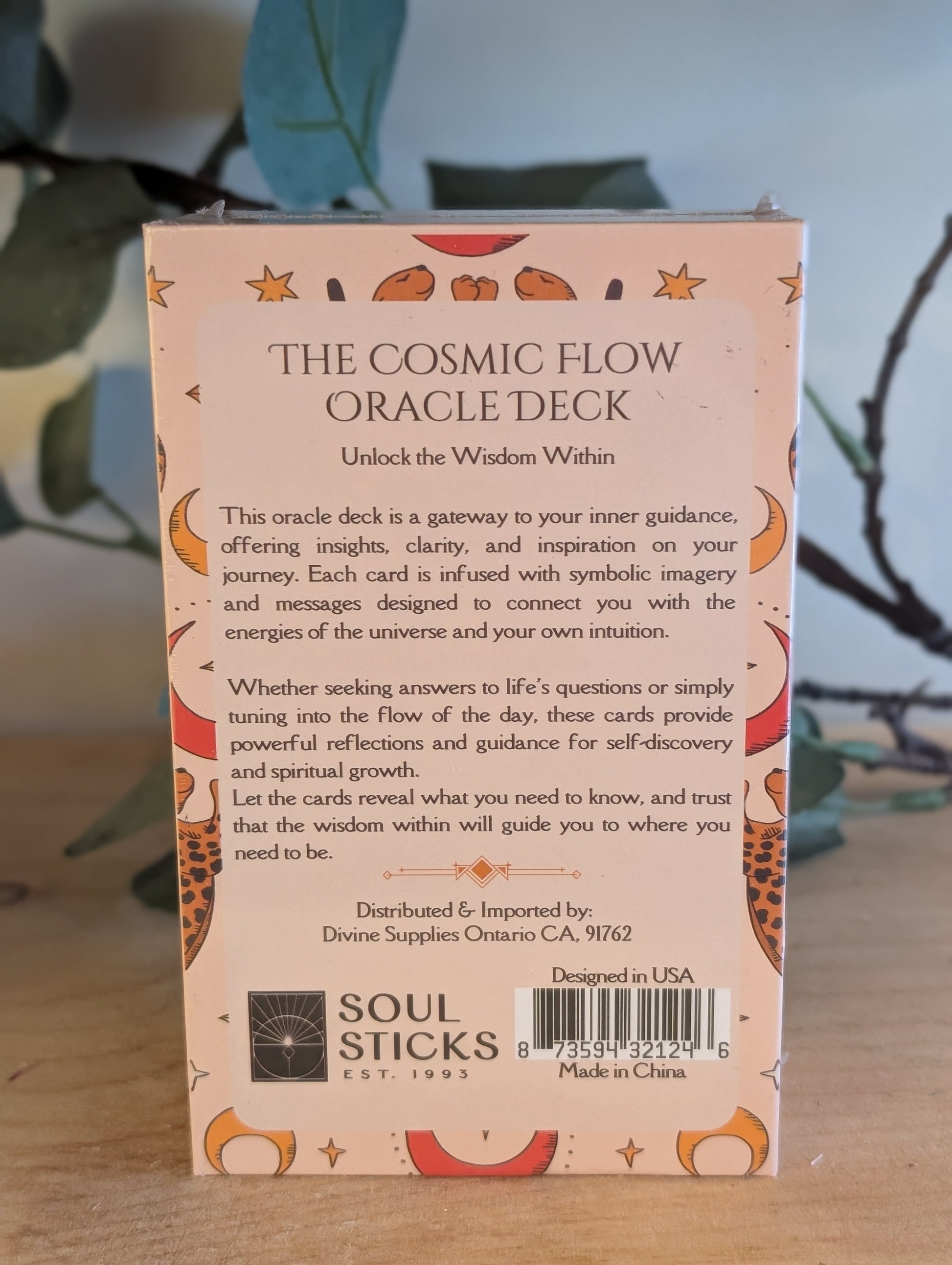 Cosmic Flow Oracle
